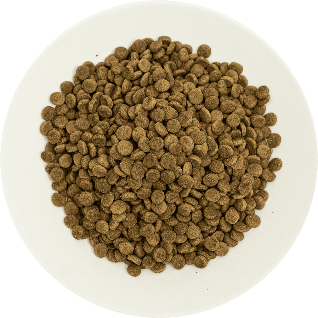 ProChoice 33 Hipoalerjenik Somonlu ve Karidesli Düşük Tahıllı Kısırlaştırılmış Kedi Maması 2kg