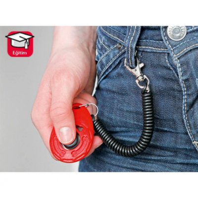 Eğitim Ürünleri ve Ekipmanları