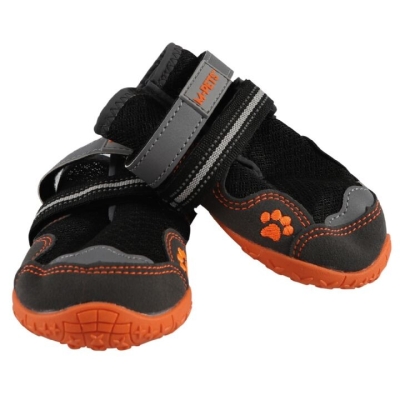 Köpek Yürüyüş Botu