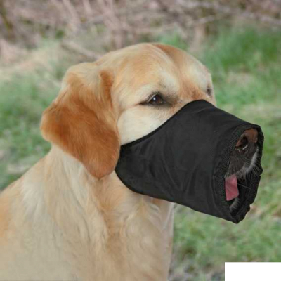 Trixie Köpek Tasmaları ve Kayışları