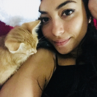 Didemvetarcinironisi